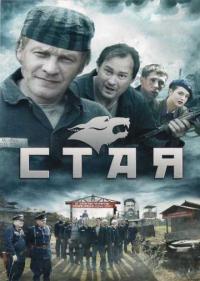 Постер Стая